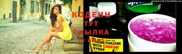 прущие крисы Белоозёрский
