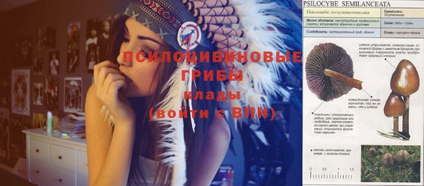 каннабис Беломорск