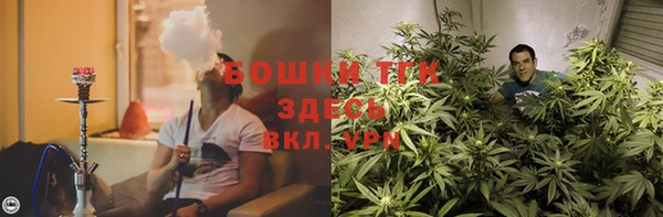 гашик Майский
